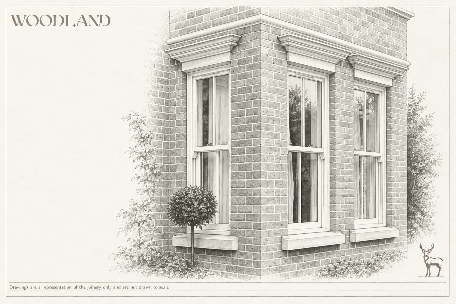 Architectural pencil drawing of the corner of a brick house with three timber sash windows under stone lintels, deep stone cills, and shrubs and a small standard tree in the border below
