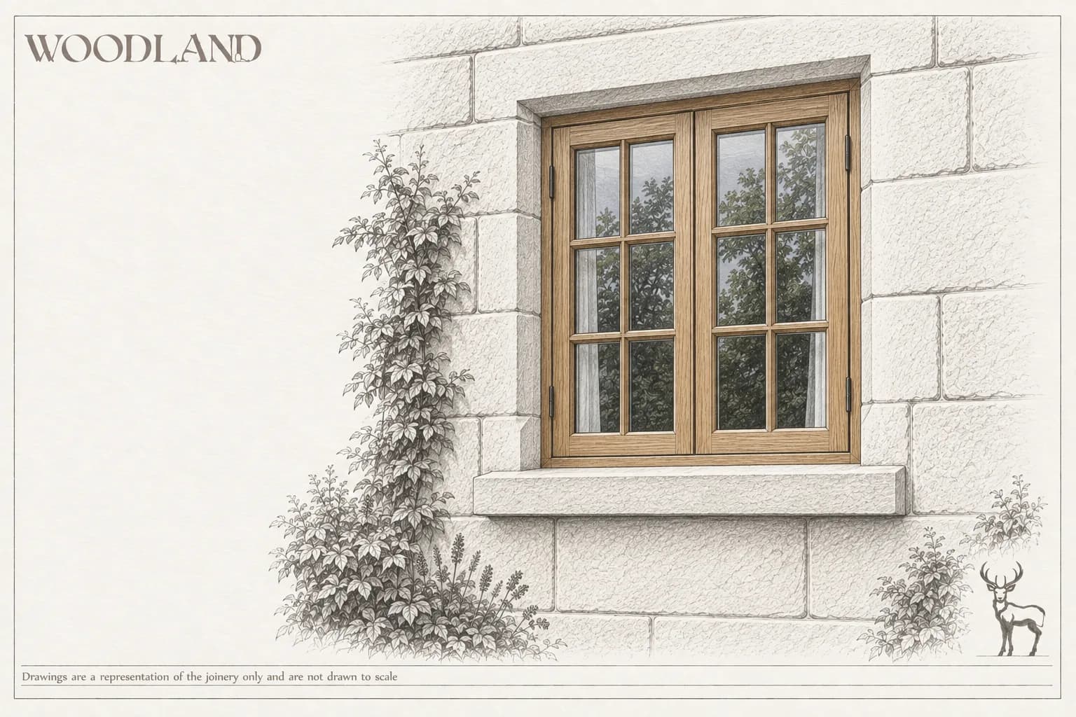Architectural pencil drawing of an oak casement window with glazing bars set in a coursed stone wall, a climbing plant rising up the stonework beside it and planting along the base