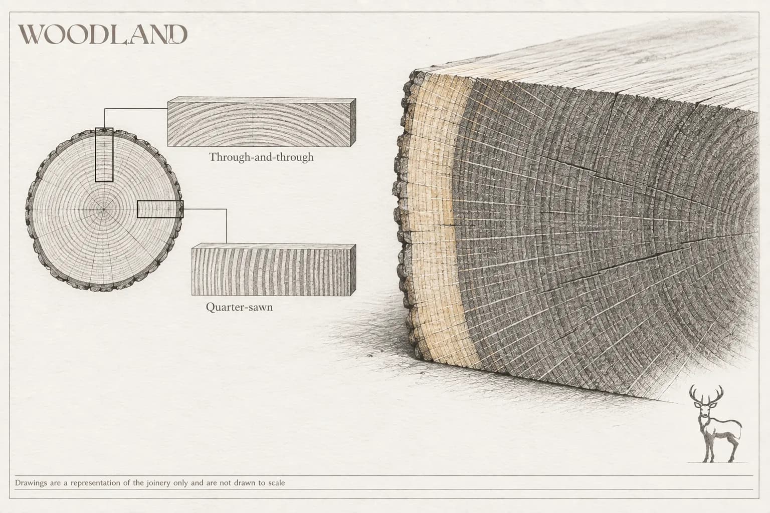 Architectural pencil drawing of an oak log in cross-section showing its growth rings, sapwood and bark, with two board diagrams alongside labelled Through-and-through and Quarter-sawn