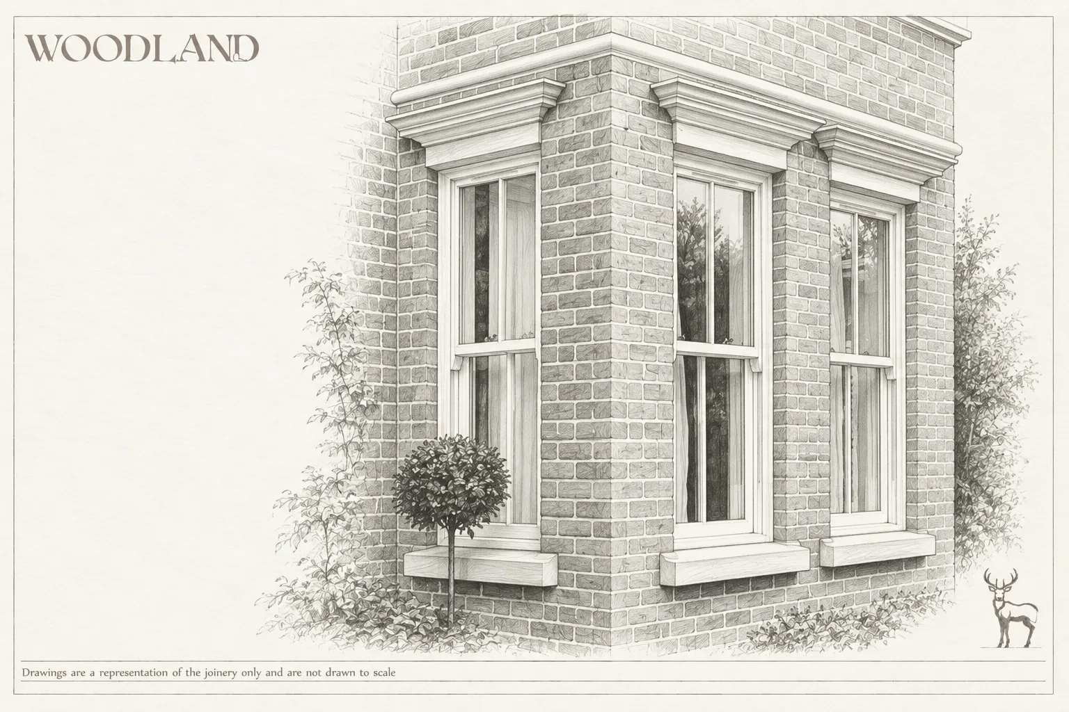 Architectural pencil drawing of the corner of a brick house with three timber sash windows under stone lintels, deep stone cills, and shrubs and a small standard tree in the border below
