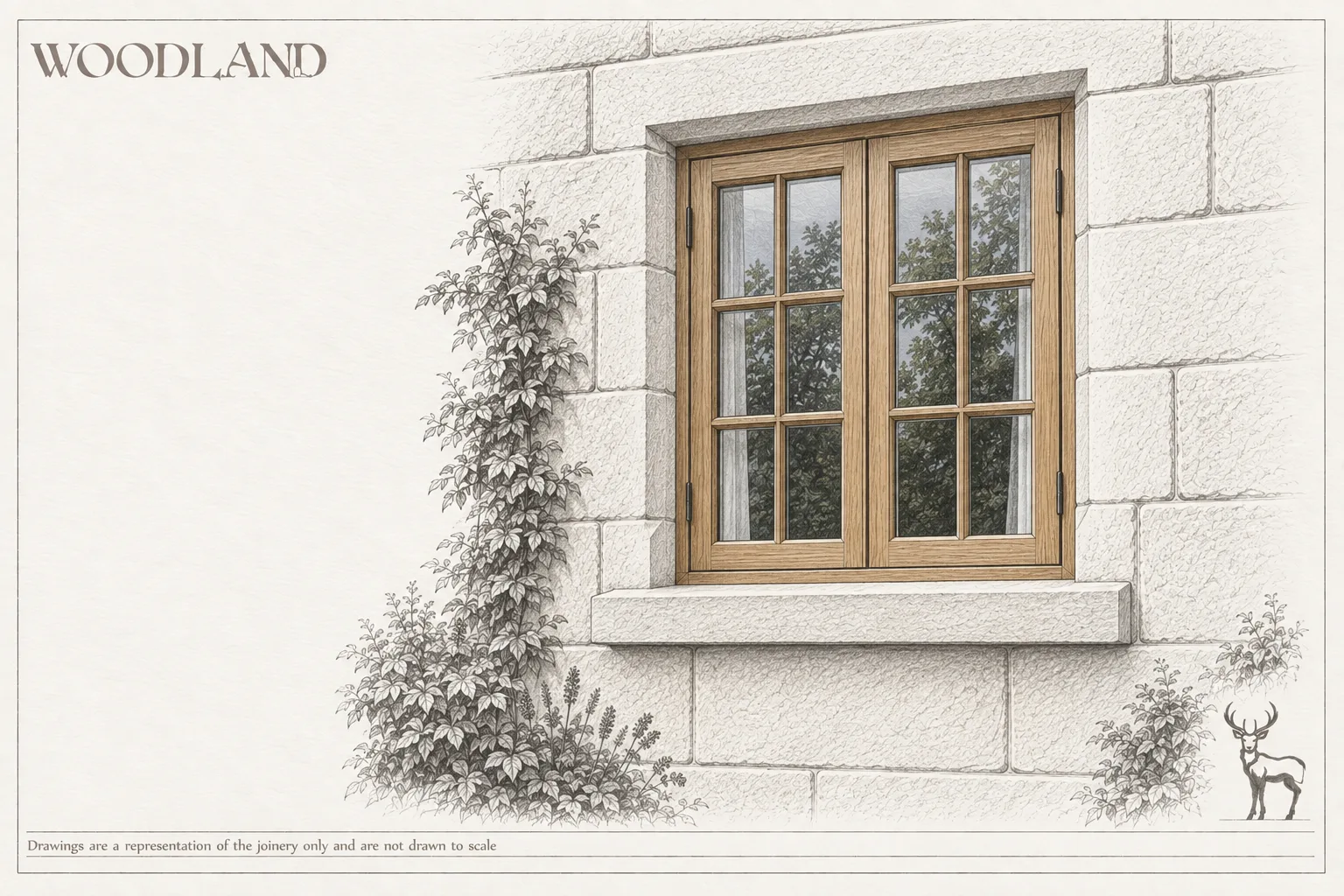 Architectural pencil drawing of an oak casement window with glazing bars set in a coursed stone wall, a climbing plant rising up the stonework beside it and planting along the base
